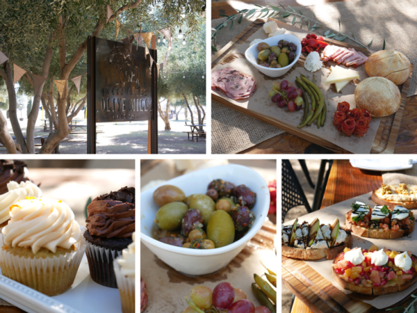 Phoenix With Kids - Ultimate Guide on Where to Stay, Play and Eat