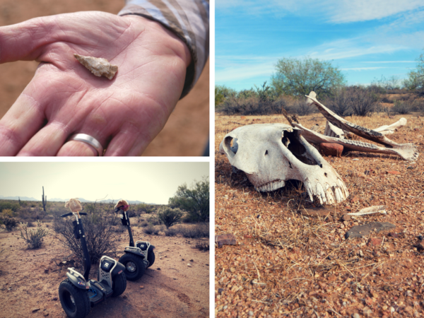 Phoenix With Kids - Ultimate Guide on Where to Stay, Play and Eat