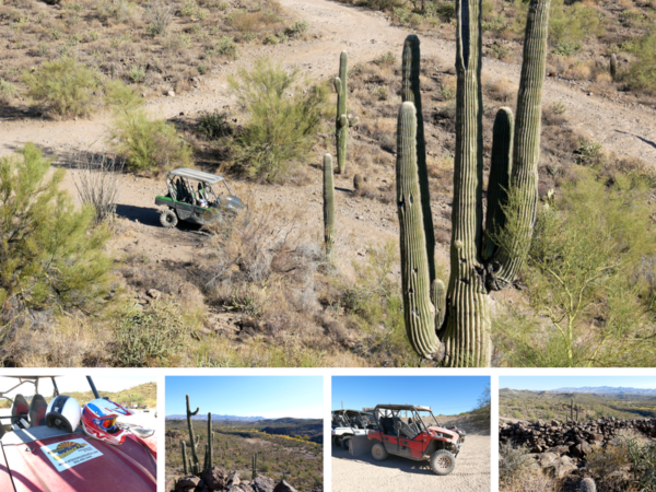 Phoenix With Kids - Ultimate Guide on Where to Stay, Play and Eat