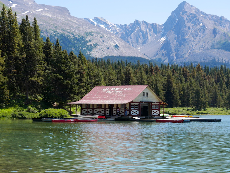 Find out why the Maligne Lake Cruise from Pursuit Collection is one of the best activities for families in Jasper.