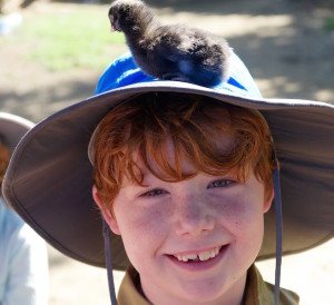 Best Family Digital Camera- Mirrorless