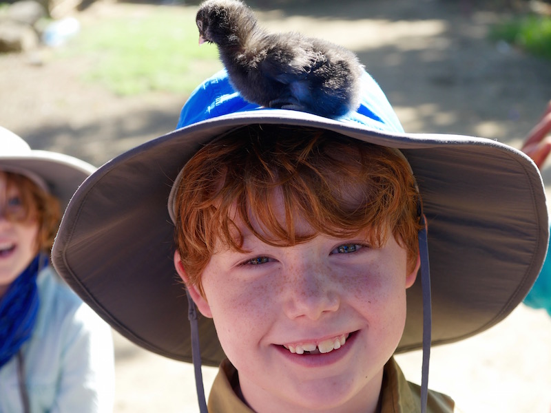 Best Family Digital Camera- Mirrorless