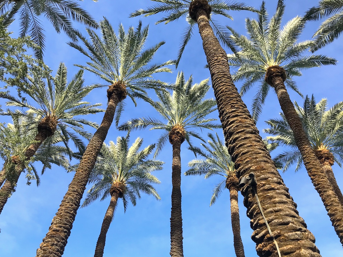 hotos included in this posts were taken with the Panasonic Lumix G85. To learn more click here.