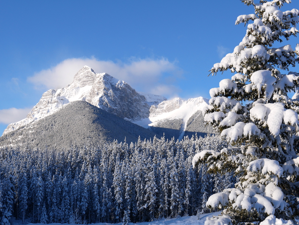 Traveling to Banff with kids - Make sure to check out a family friendly vacation to Kananaskis with kids.