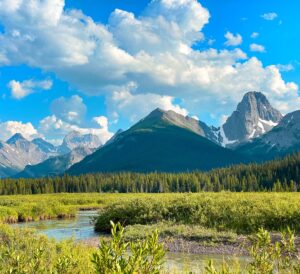 Mount Engadine with Kids