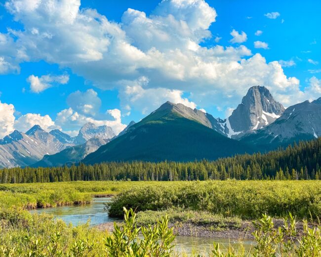 Mount Engadine with Kids